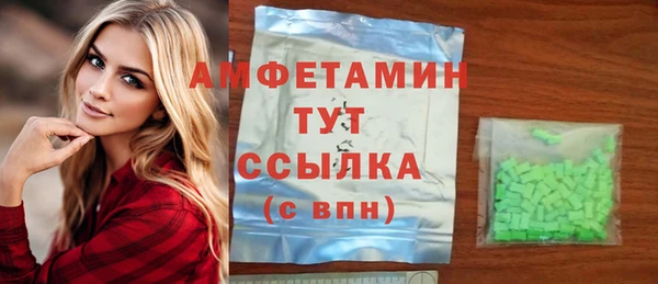 spice Богданович