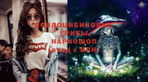 spice Богданович