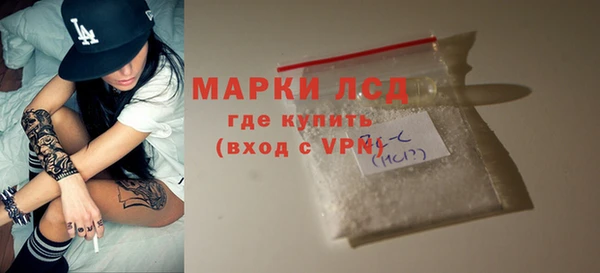 стаф Беломорск