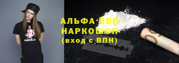 spice Богданович