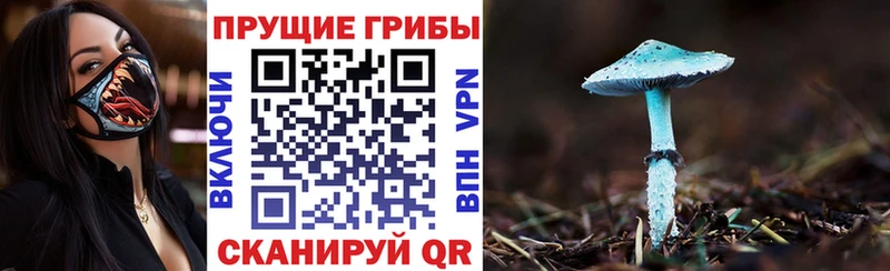 Галлюциногенные грибы MAGIC MUSHROOMS  Михайлов 